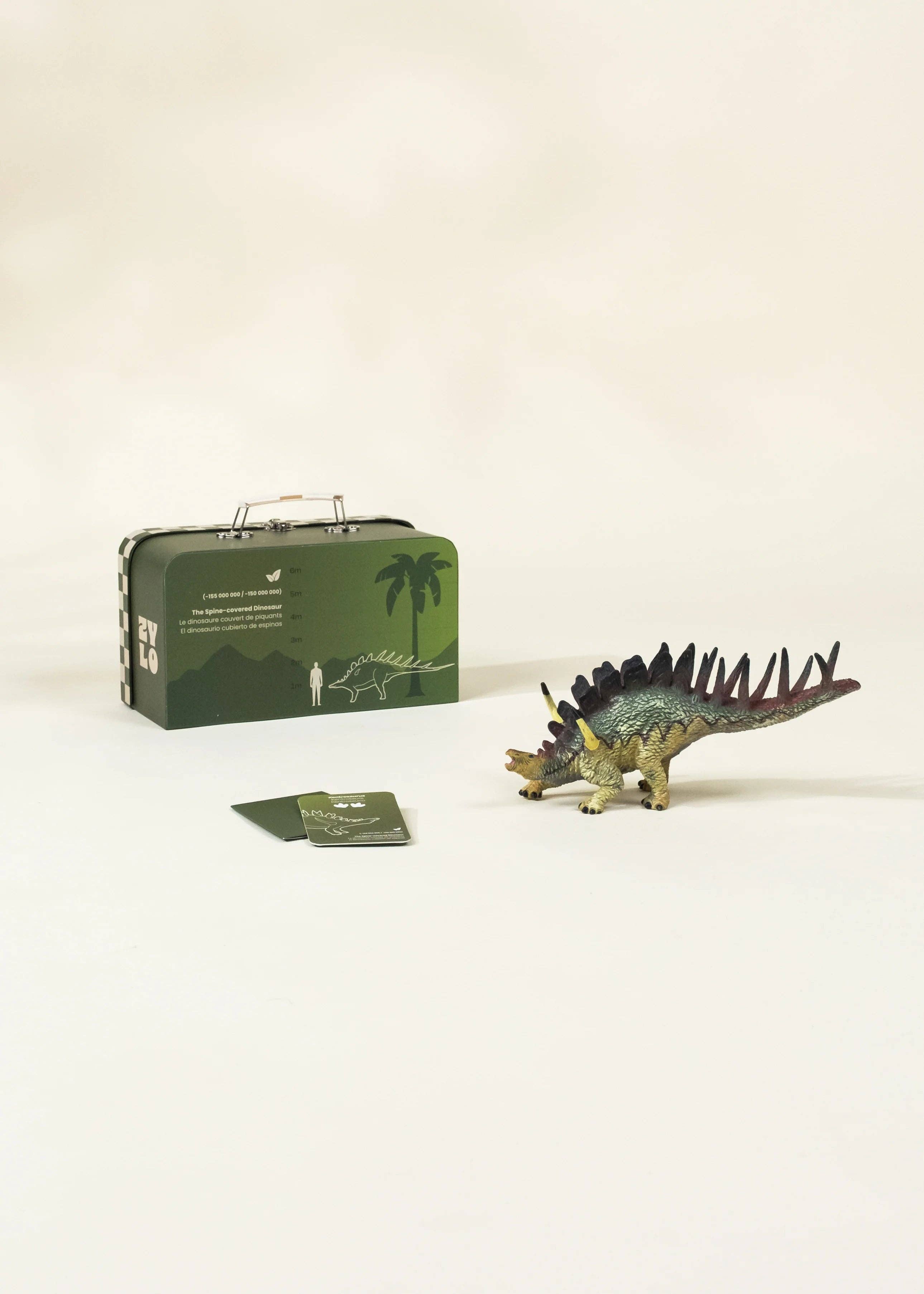 Kentrosaurus Dinosaur in a Collectible Box