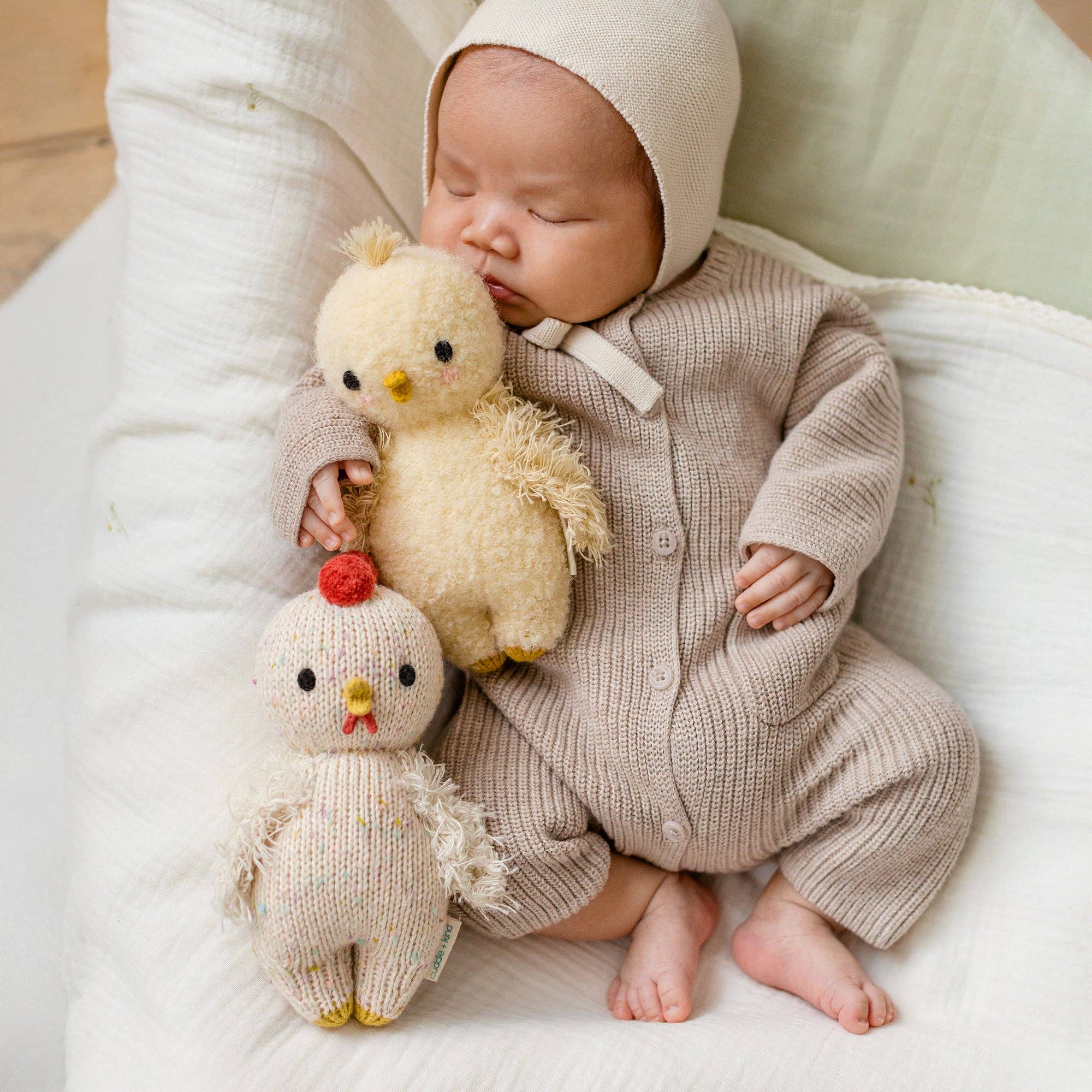 Baby chicken