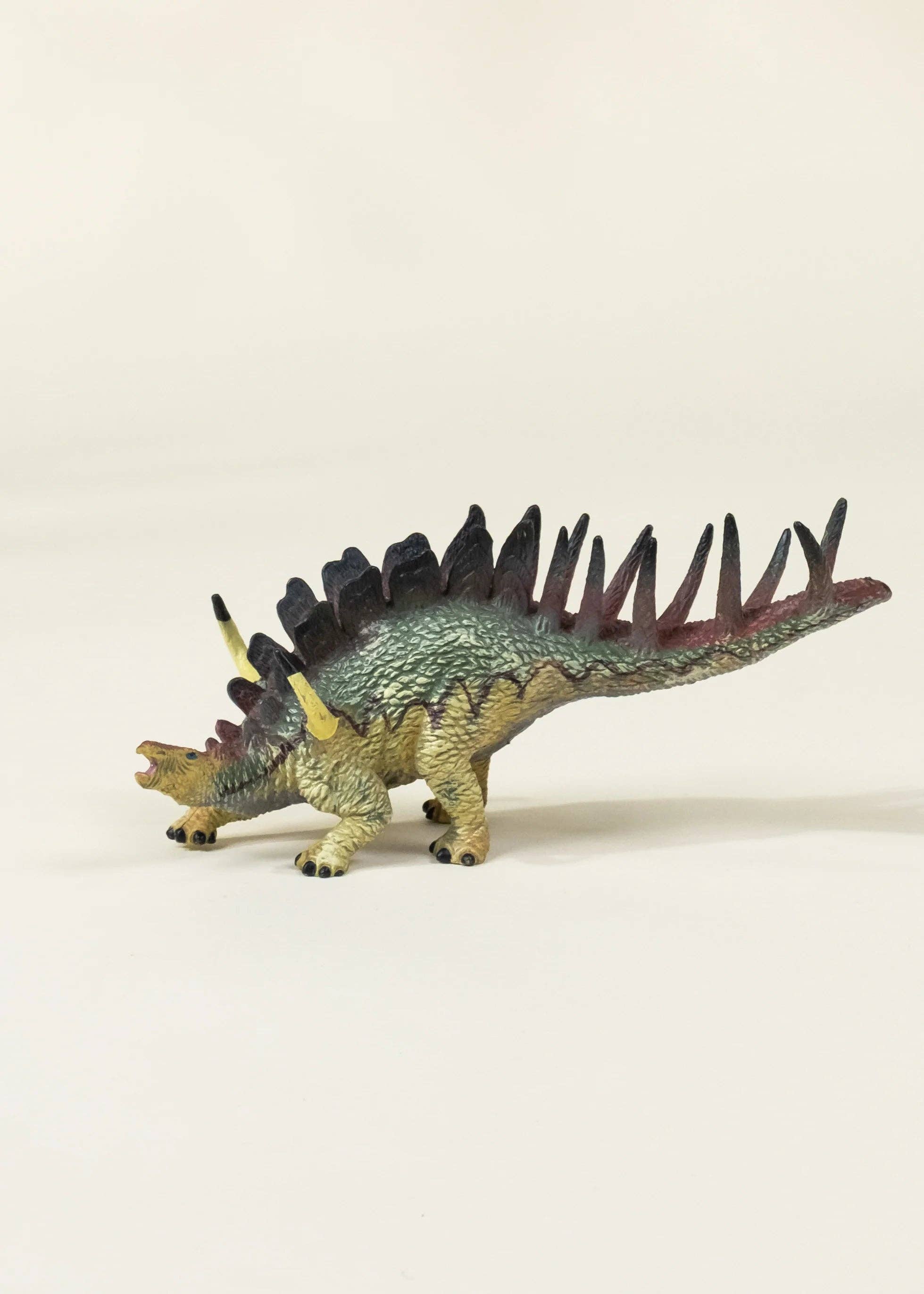 Kentrosaurus Dinosaur in a Collectible Box