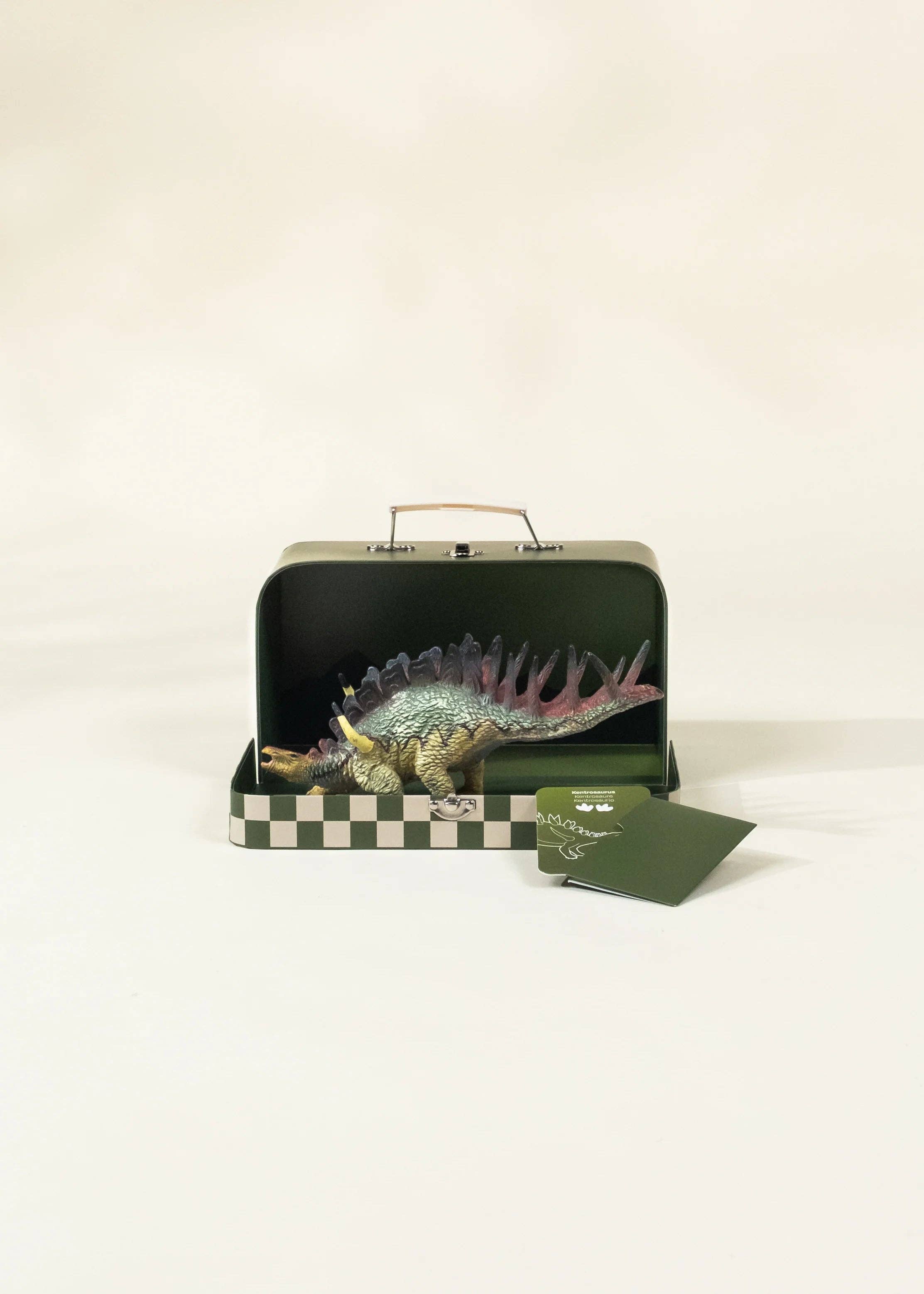 Kentrosaurus Dinosaur in a Collectible Box