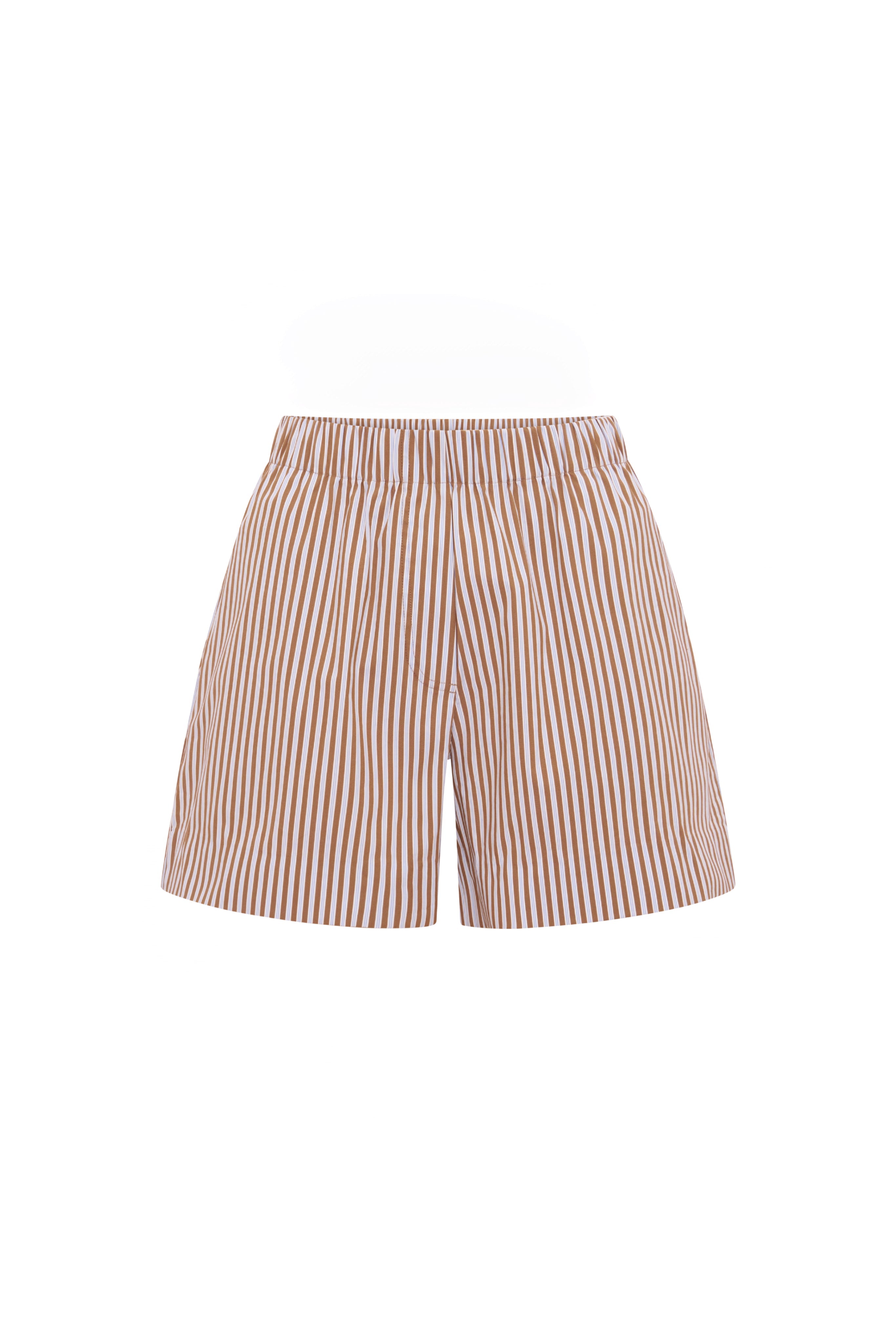 The Everything Short in Desert Stripe