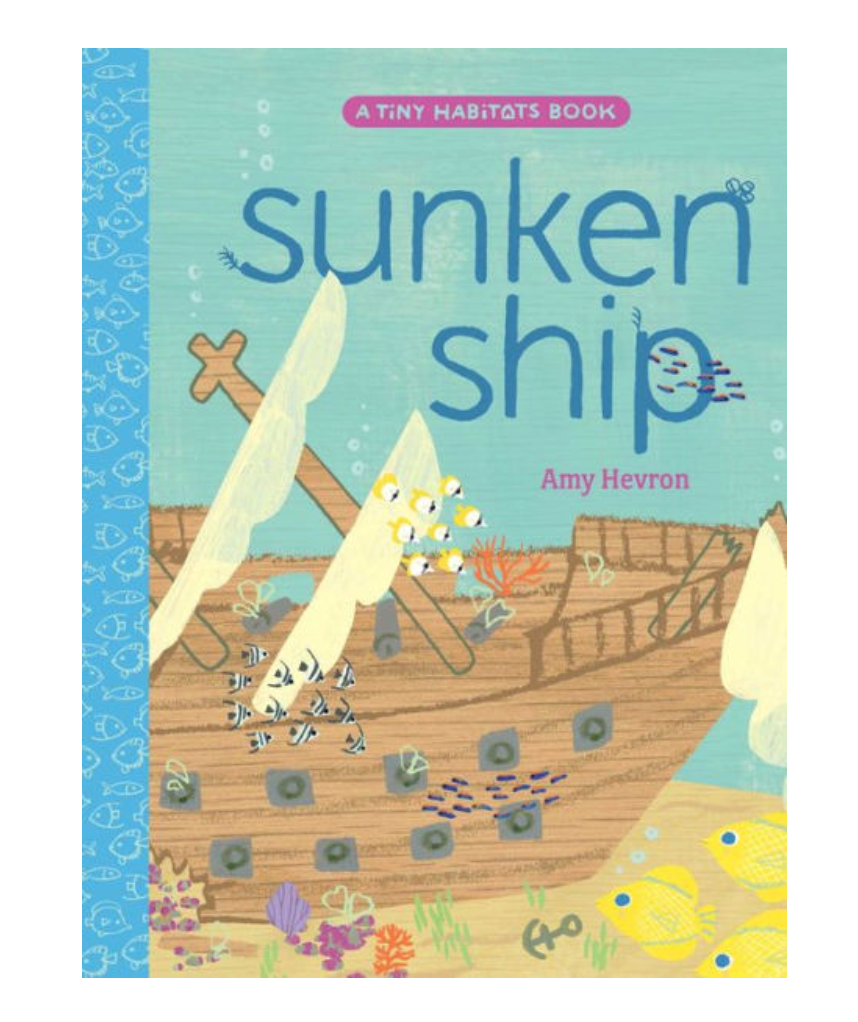 Sunken Ship