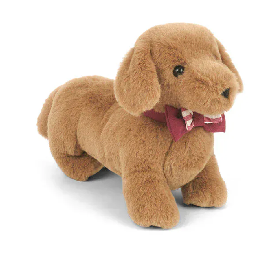 Dapper Daschund