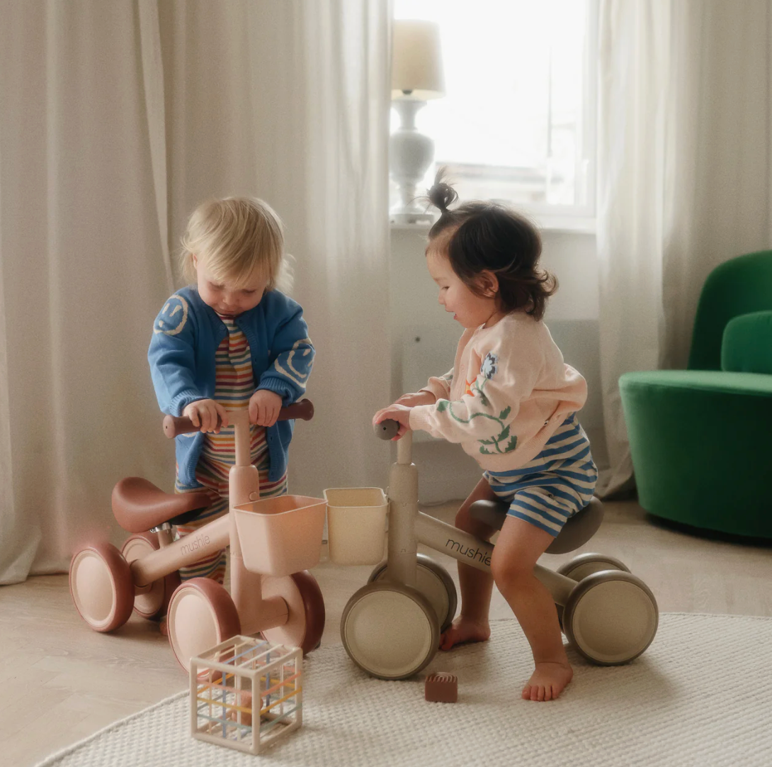 Mini Toddler Bike