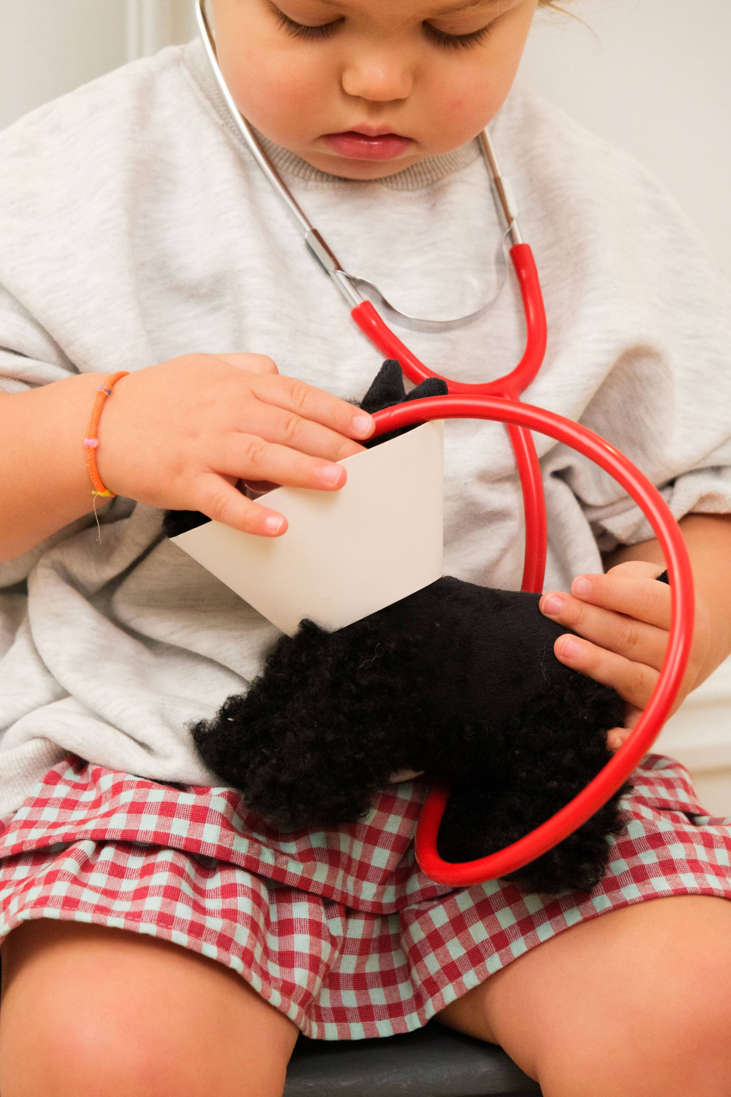 Veterinary Case - Walter the Dog