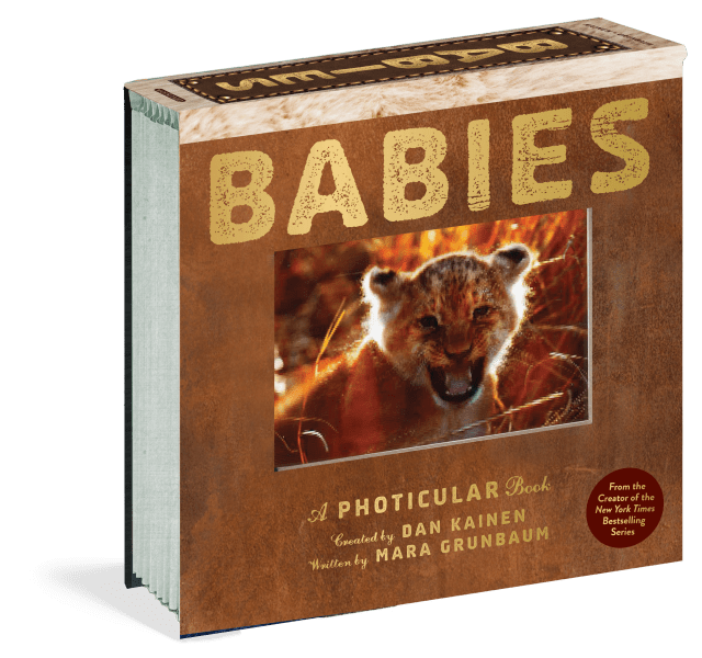 Babies: A Photicular Book