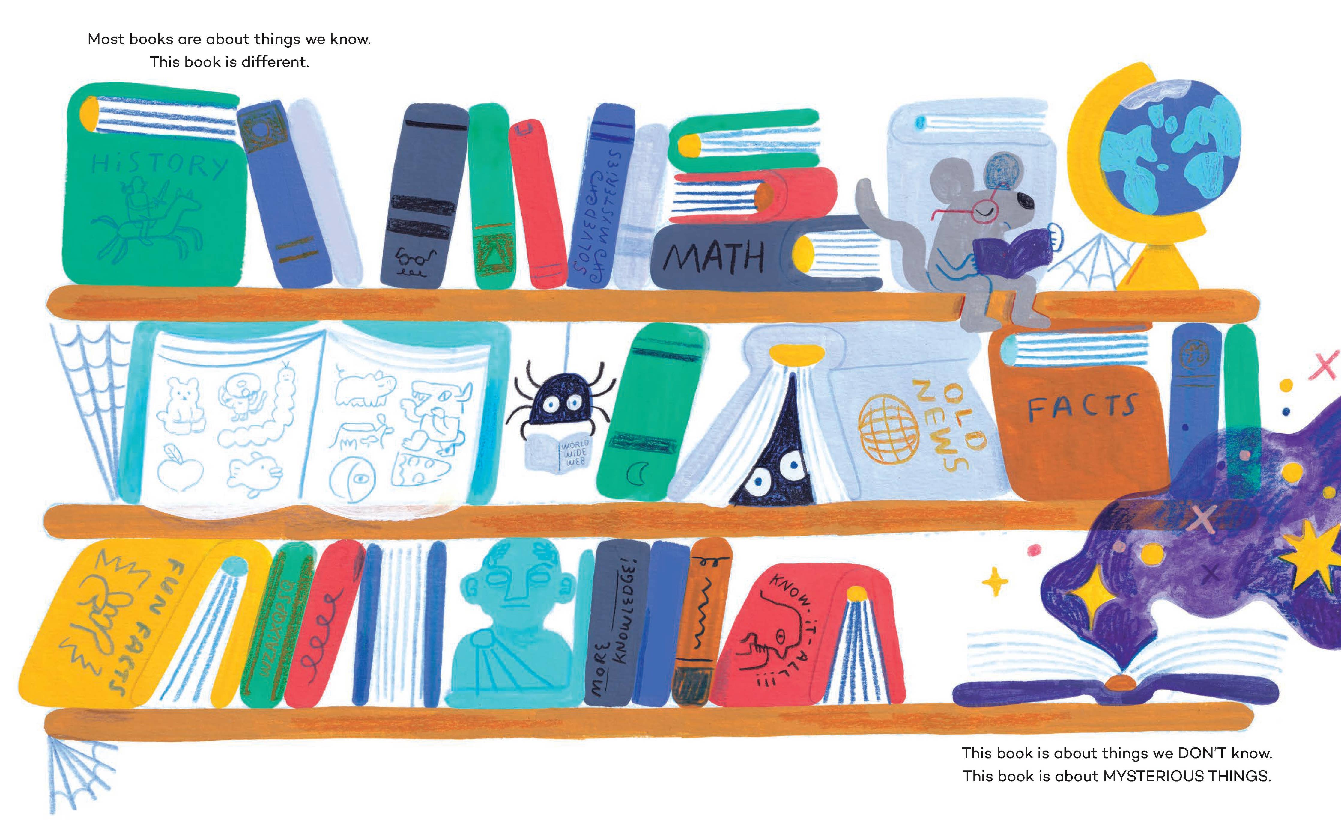 Mysterious Things Book